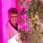 $3.7m crop lab will create food for ‘tomorrow’s atmosphere today’