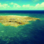 The sins of the land are visited upon the sea