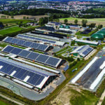 Digestate processing