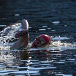 Engineering interventions that could reduce exposure of open-water swimmers to human faecal matter