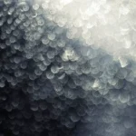 We are betting the bank on hydrogen. But are we ready for it?