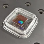 Tiny crop-health sensors could help cut the cost of groceries