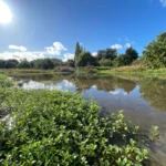 Call to make London a ‘sponge city’