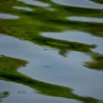 Landmark sewage ruling means water companies could face legal challenges over spills