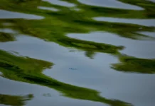 Landmark sewage ruling means water companies could face legal challenges over spills