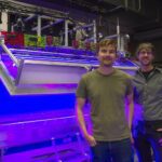 Understanding how flies smell may have applications in robotics