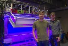 Understanding how flies smell may have applications in robotics