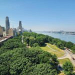 Growing problem: New York study suggests trees aren’t always the answer