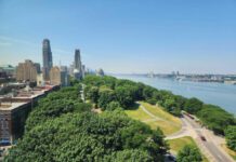 Growing problem: New York study suggests trees aren’t always the answer