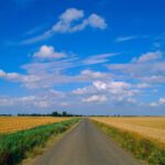 Drought now biggest risk to UK nature reserves, says conservation charity