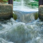 Action urged over climate change’s impact on hydropower and wildlife