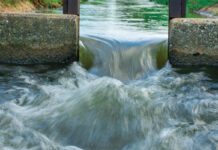 Action urged over climate change’s impact on hydropower and wildlife