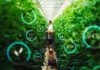Environmental case for vertical farming stacks up, claims study