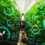 Environmental case for vertical farming stacks up, claims study