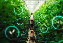 Environmental case for vertical farming stacks up, claims study