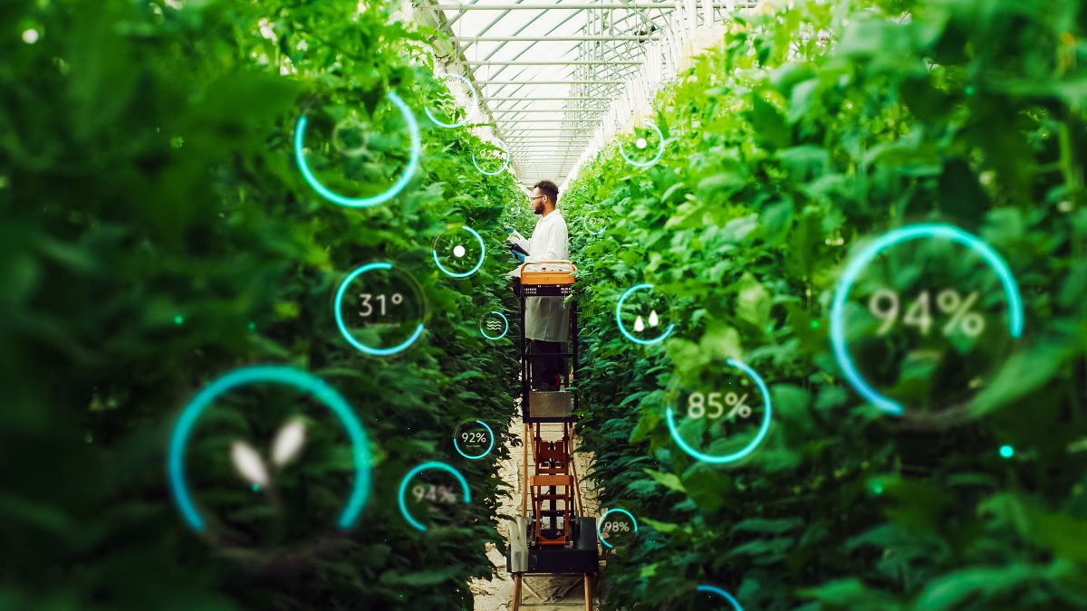 vertical farming image