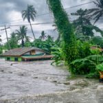 Atmospheric methane increase during Covid due primarily to wetland flooding