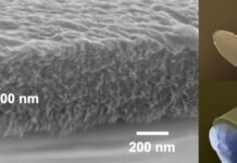 Membranes based on natural silk and cellulose can remove PFAS
