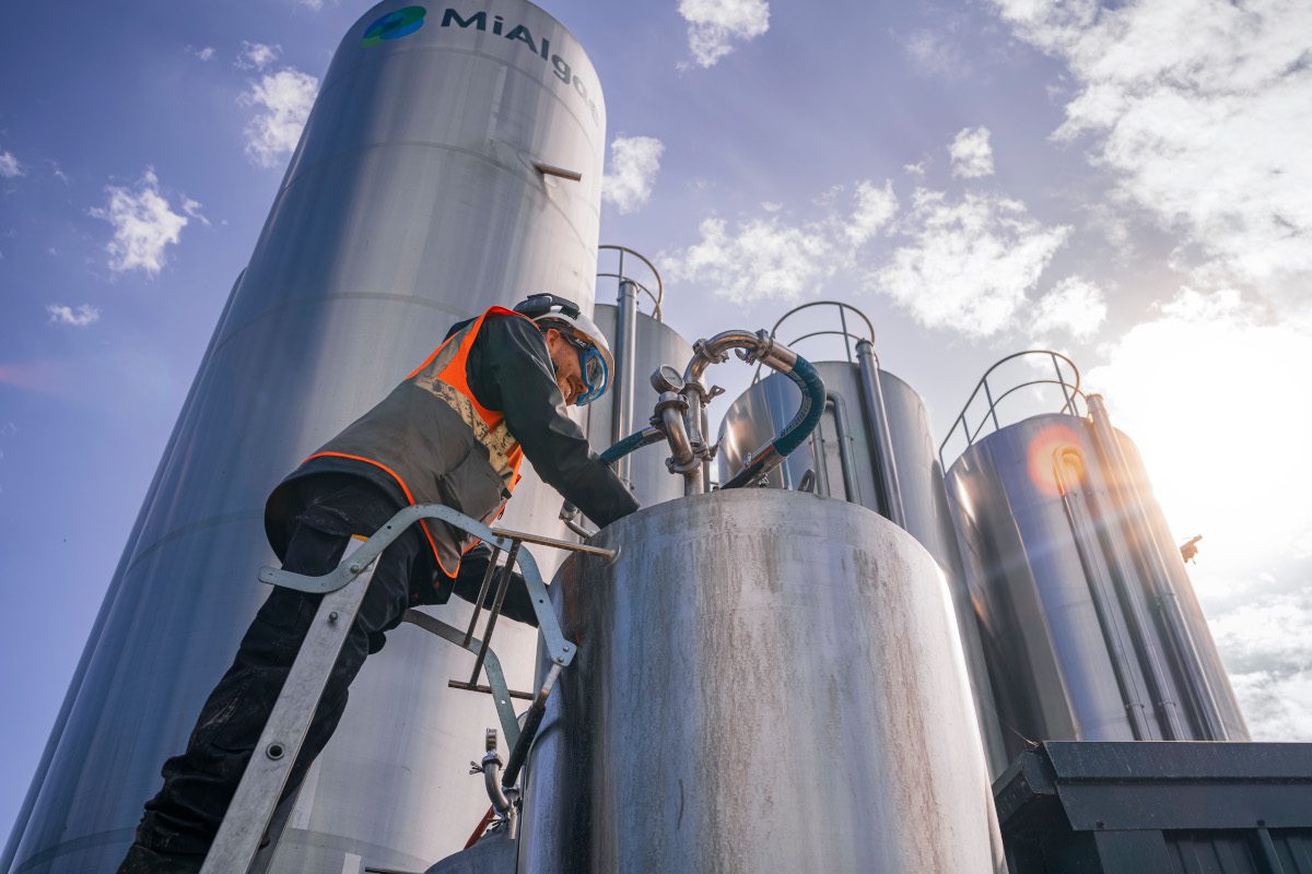 Technician performing some kind of operation near metallic storage tanks, one of which is emblazoned with the MiAlgae logo