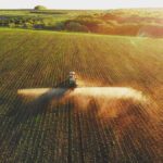 Friendly soil fungus could replace chemical sprays in battle against crop diseases