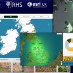 Schools map habitats to boost biodiversity