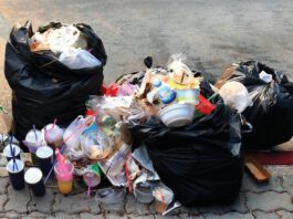 Scotland’s burning dilemma: Landfill falls as recycling stalls