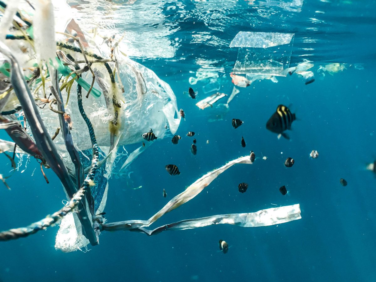 Plastic debris in the sea, lingering beneath the surface