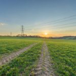 A clean power supply for Britain is achievable with significant investment, says NESO report