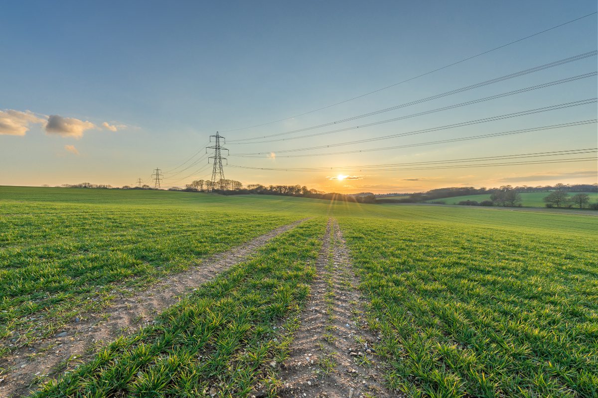 Electricity pylons within a countryside scene of green fields