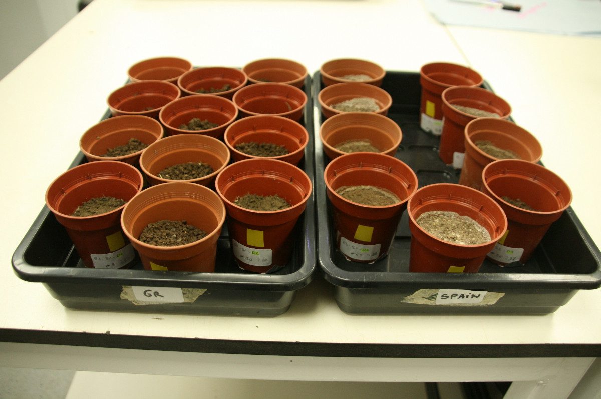 Some-of-the-soils-going-though-a-flooding-event-in-the-lab