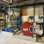 Organic optimisation