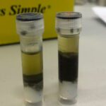 Pathogens which cling to microplastics may survive wastewater treatment