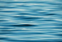 Latest UKWIR projects available for expression of interest