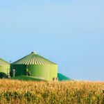 Biogas would provide a £400 annual saving for households on the road to net zero, says analysis