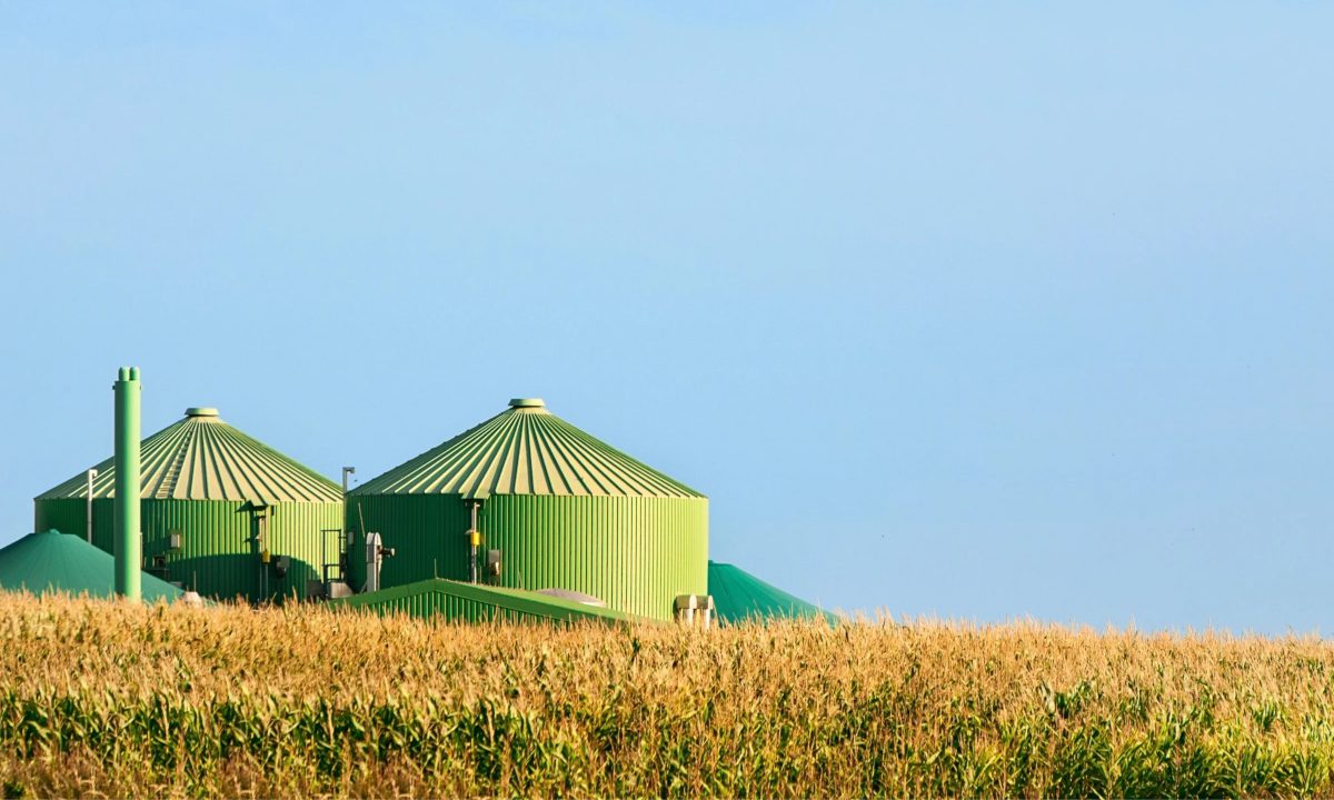 Cylindrical storage vessels in the distance, against a background of clear blue sky and yellow crop fields in the foreground