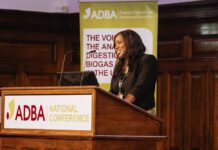 Government ‘excited’ by the potential of green gas to support its clean energy transition mission