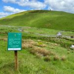 Quharity Burn returned to natural state to boost biodiversity and flood resilience