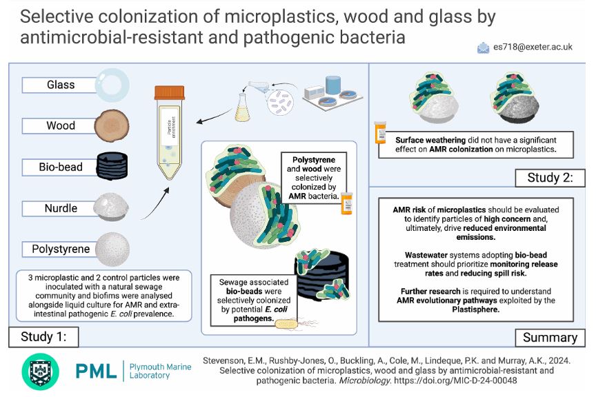 Diagram summarising colonization of different materials by antimicrobial-resistant and pahtogenic bacteria