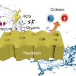 Piezoelectric promise: Study explores hydraulic energy harvesting during water treatment