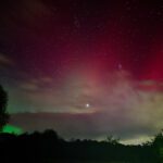 £3m grant to assist solving “long-standing biological enigma” of magnetoreception