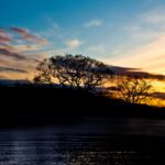 AMP8 delivery requires data for nature approach