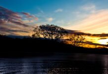 AMP8 delivery requires data for nature approach