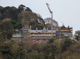 BNG reforms welcomed but uncertainty and nature concerns remain