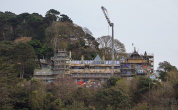 BNG reforms welcomed but uncertainty and nature concerns remain