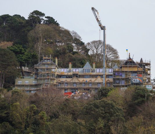 BNG reforms welcomed but uncertainty and nature concerns remain