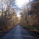 Three men arrested in connection with Hoads Wood illegal waste dumping