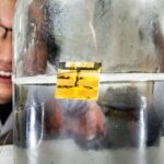 “Fully recyclable” solar cells showcase using water as a solvent