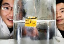 “Fully recyclable” solar cells showcase using water as a solvent