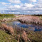 EA research cites new evidence of natural flood management benefits