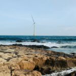 New tool will promote marine biodiversity conservation